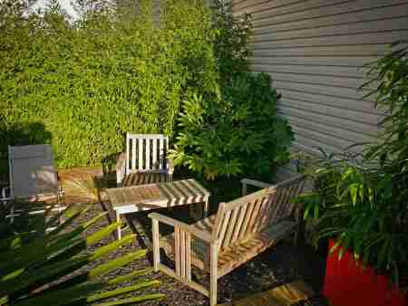Amenagement piscine terrasse ardoise exotique