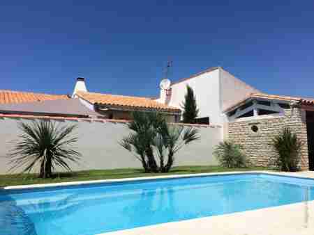 Jardin vue piscine avec gazon synthetique palmier R