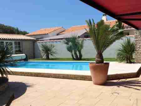 Jardin vue piscine avec palmier exotique en pot - Ile de Ré